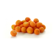 GY.Pin.Marchew paryska 2,5kg/10kg