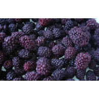 Twa. Jeżyna mrożona 2,5/10kg