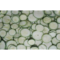 Twa. Cukinia plastry faliste 2,5/10kg